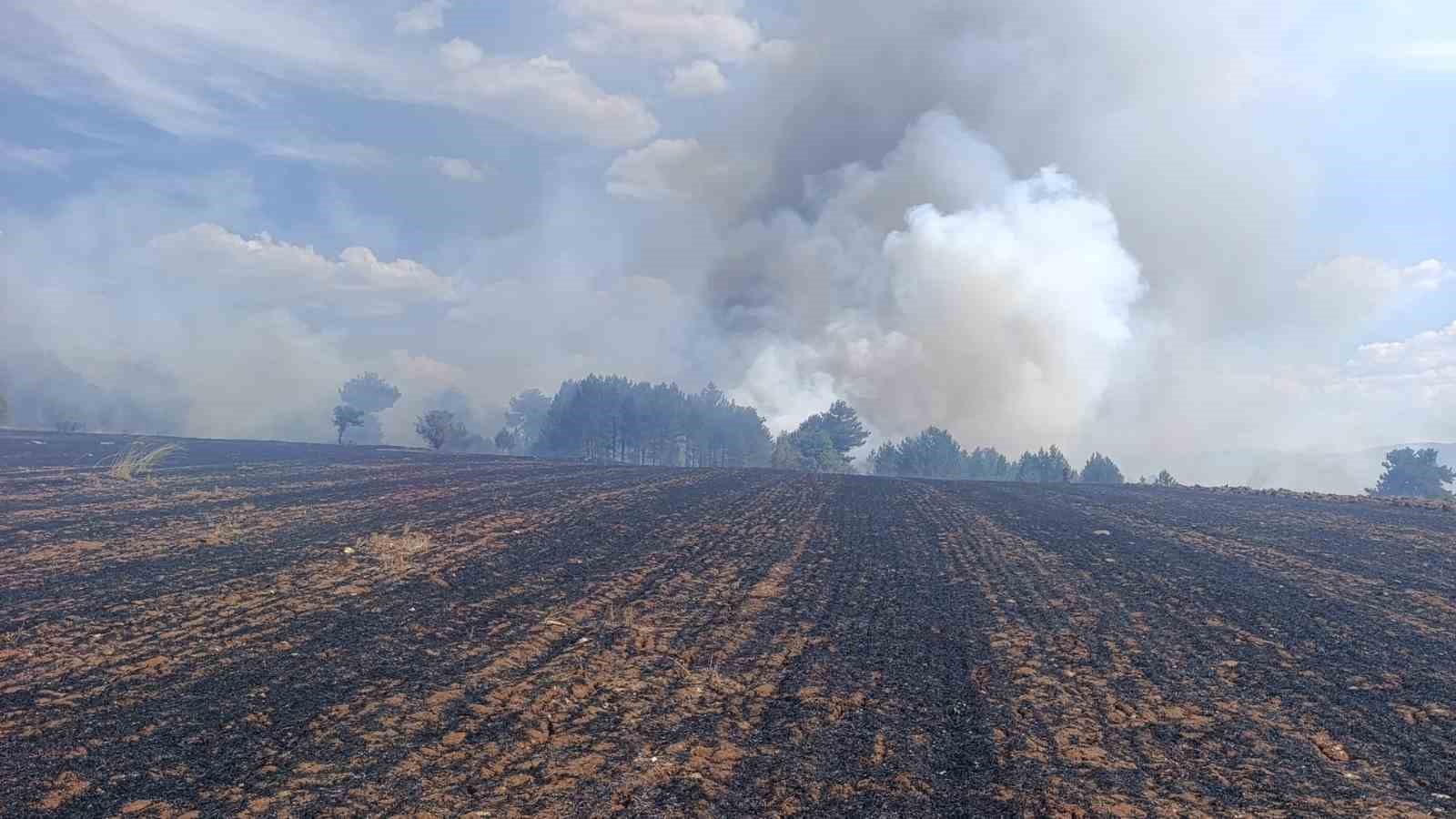 EMET’TE ORMANLIK ALANA SIÇRAYAN YANGIN KONTROL ALTINA ALINDI
