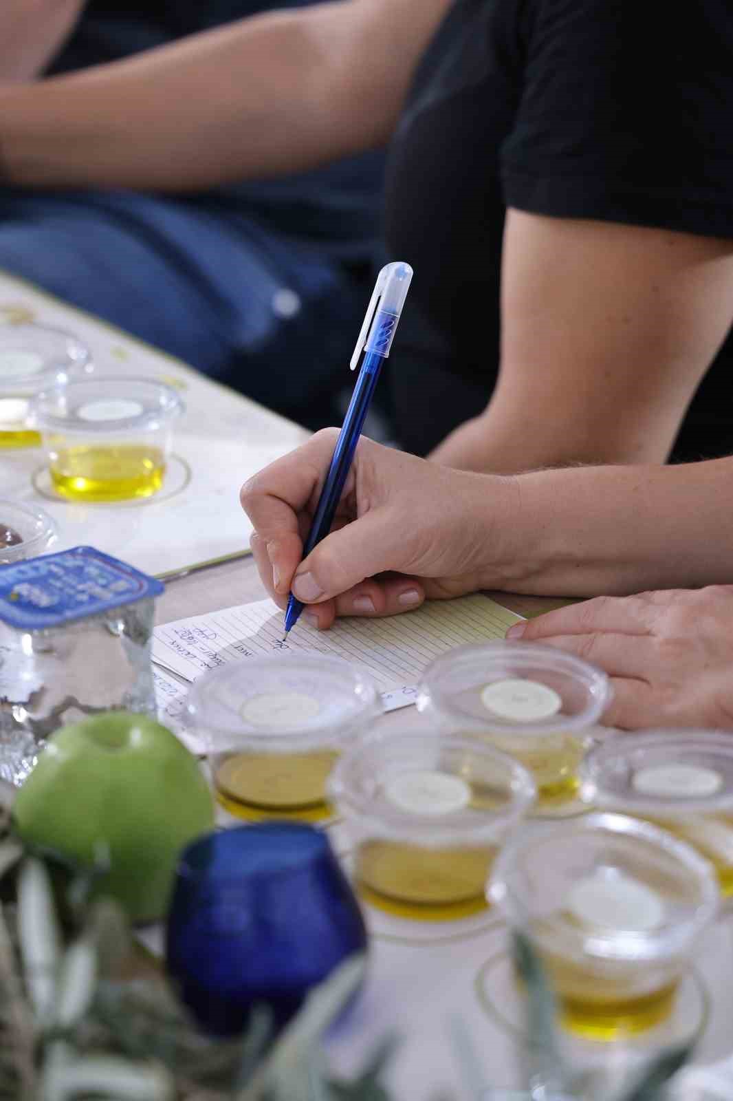 FESTOLİVE EDREMİT ZEYTİNYAĞI TADIM FESTİVALİ (ARŞİV)